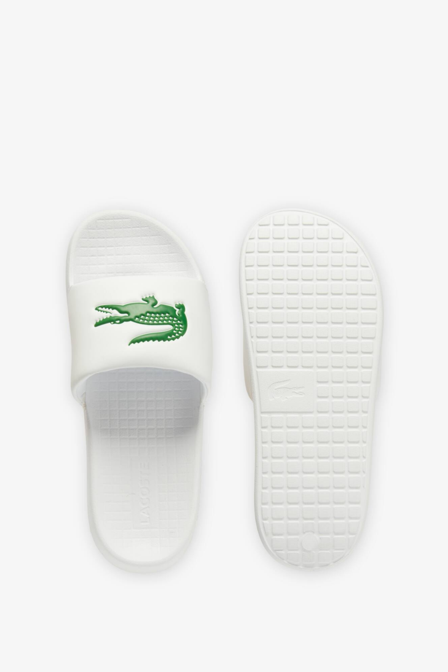 Championes Lacoste