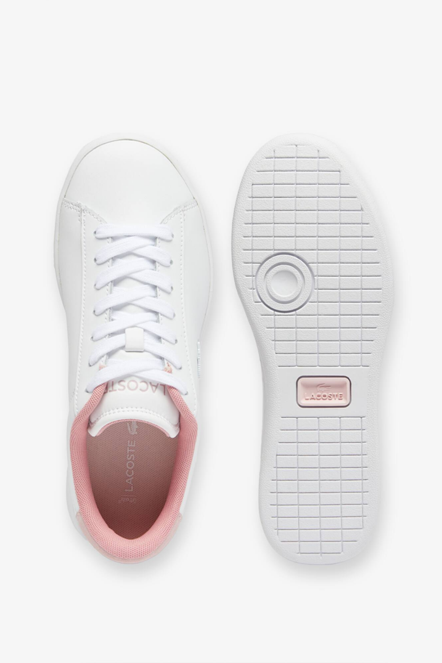 Championes Lacoste