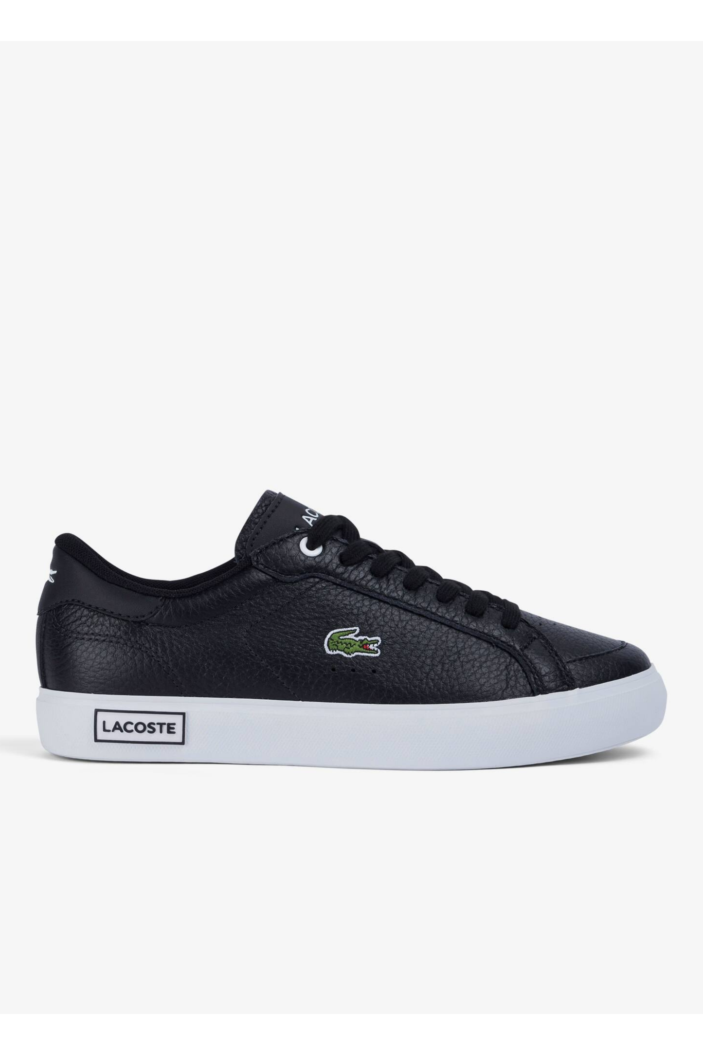 Championes Lacoste