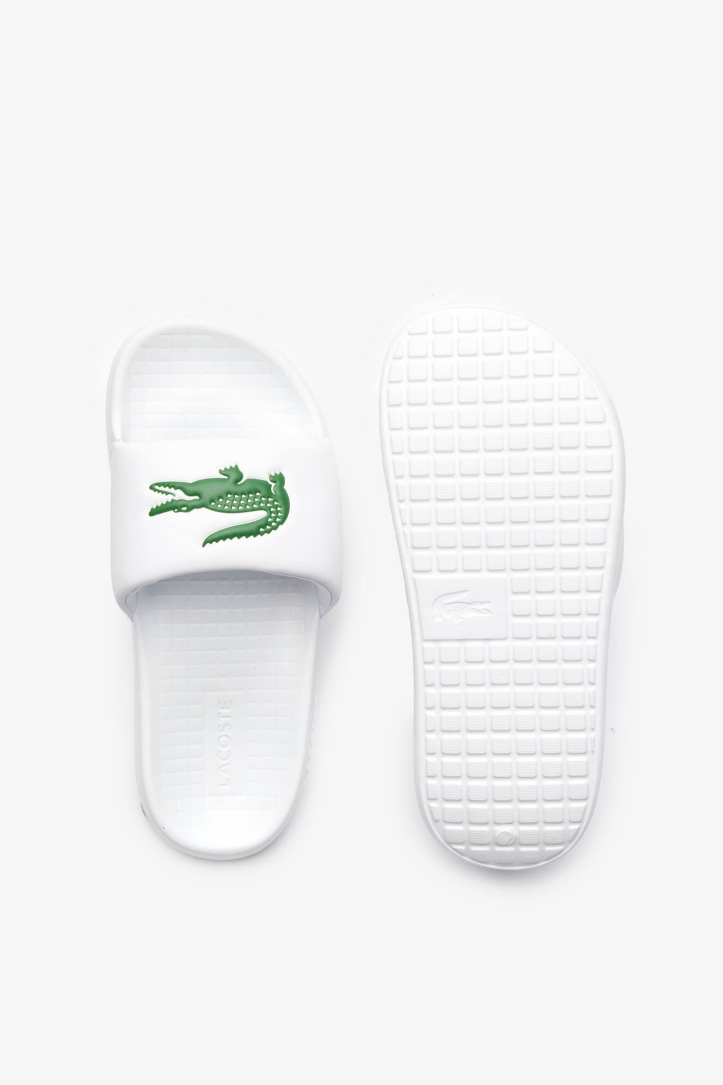 Championes Lacoste