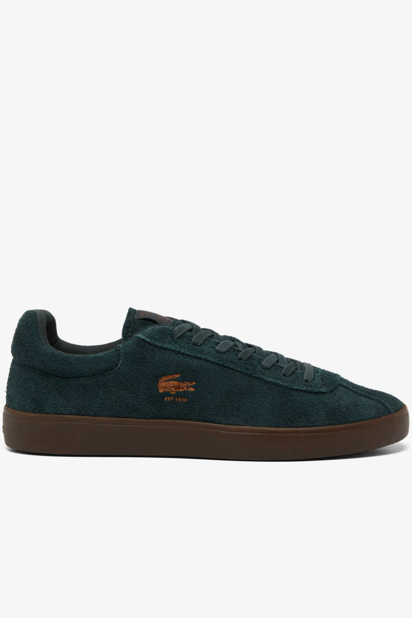 Championes Lacoste